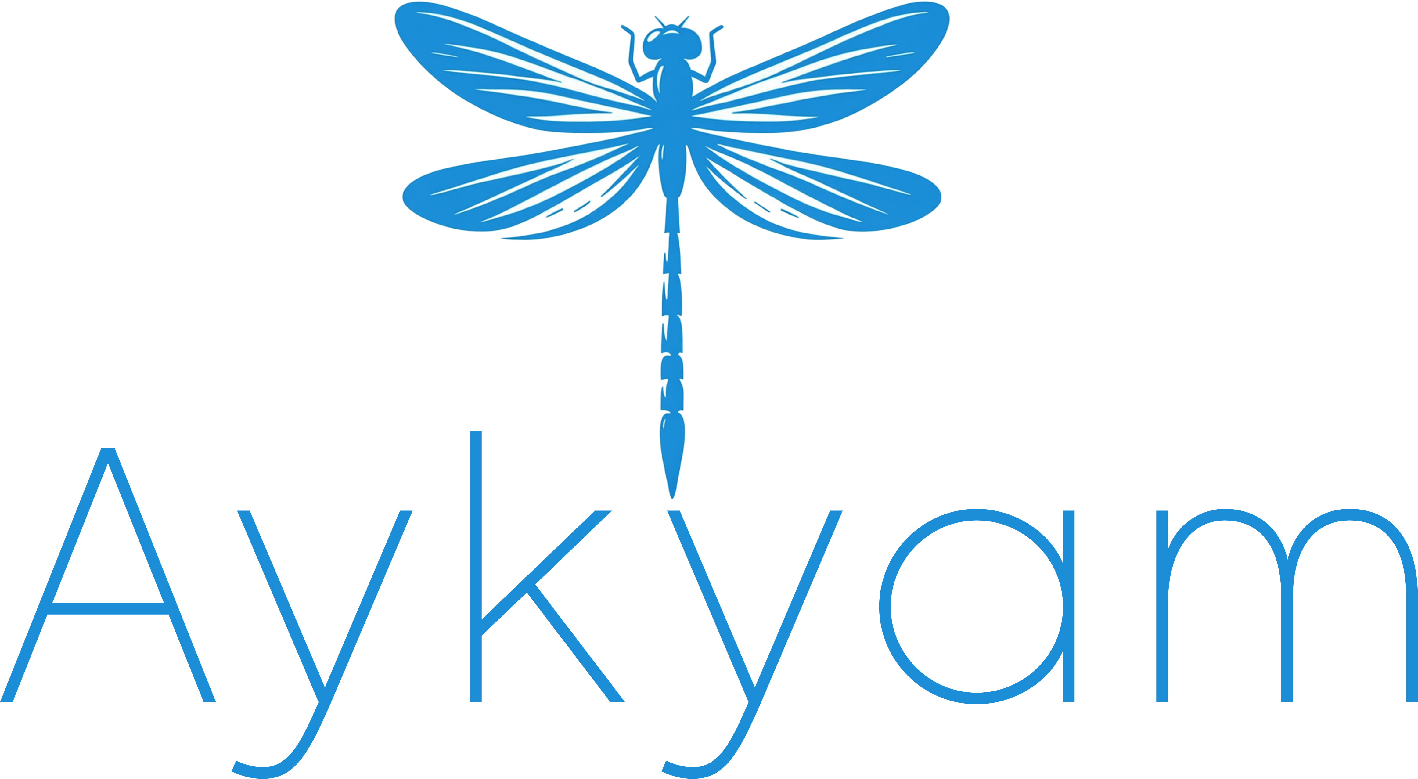 Aykyam Private Limited logo